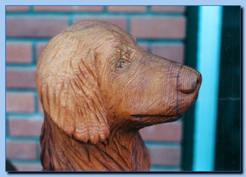 2-46 animal portrait-archive-0005